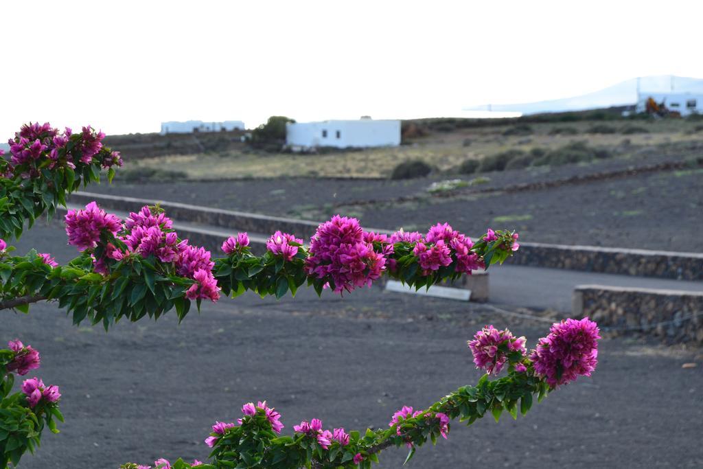 Apartamento La Finca Mácher المظهر الخارجي الصورة